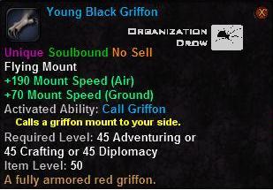 Young Black Griffon